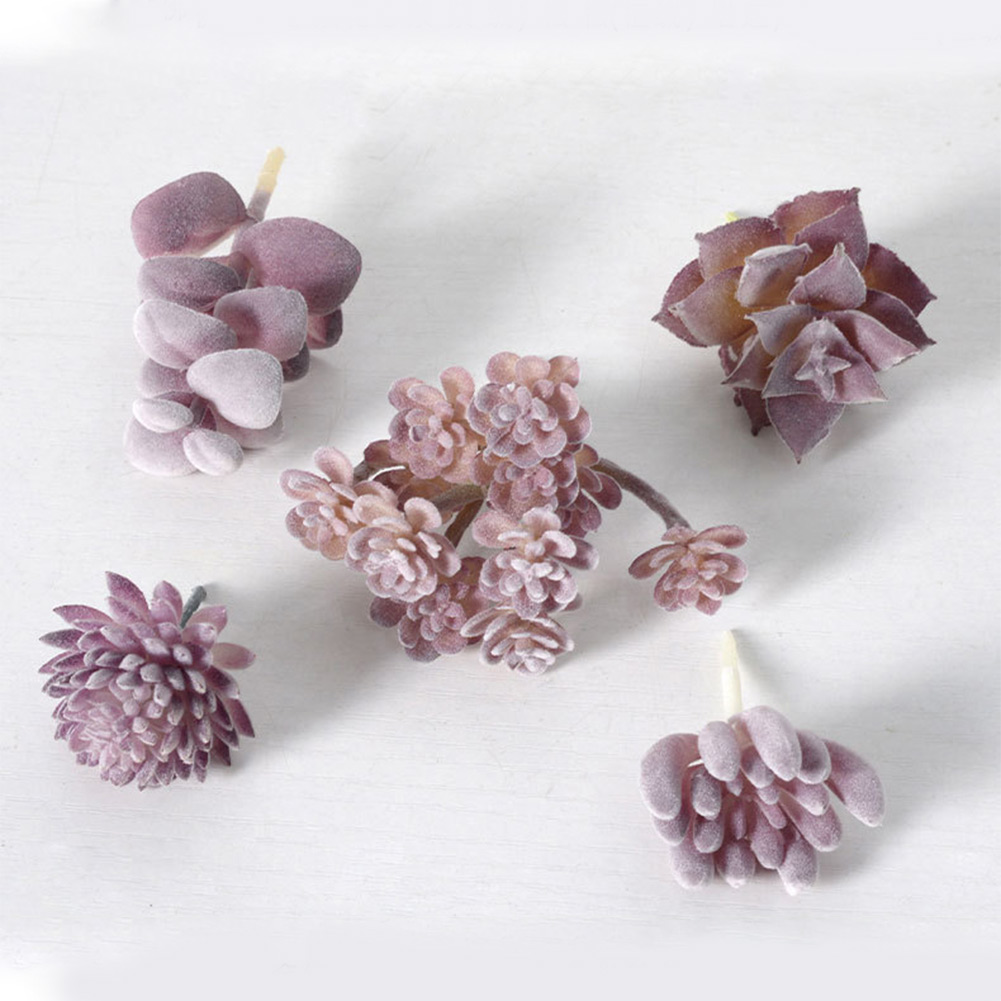 Succulent Arrangement Mini - 미니 분재 다육식물 장식용 화분, 가정