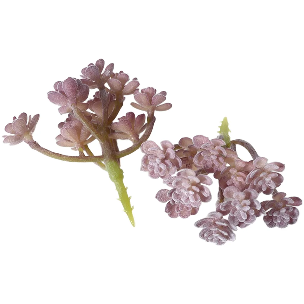 PVC 플록 처리된 보라색 인조 다육식물, 작은 공간  - Succulent Arrangement Mini 리뷰 및 가격