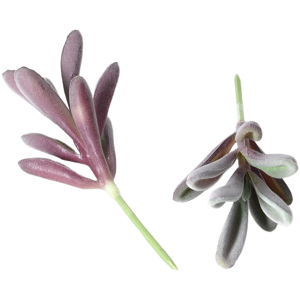 PVC 플록 처리된 보라색 인조 다육식물, 작은 공간  - Succulent Arrangement Mini 리뷰 및 가격