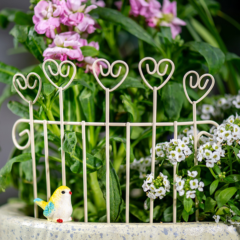 기발한 미니 철제 화분 울타리, DIY 미니어처 정원, - Succulent Arrangement Mini 리뷰 및 가격