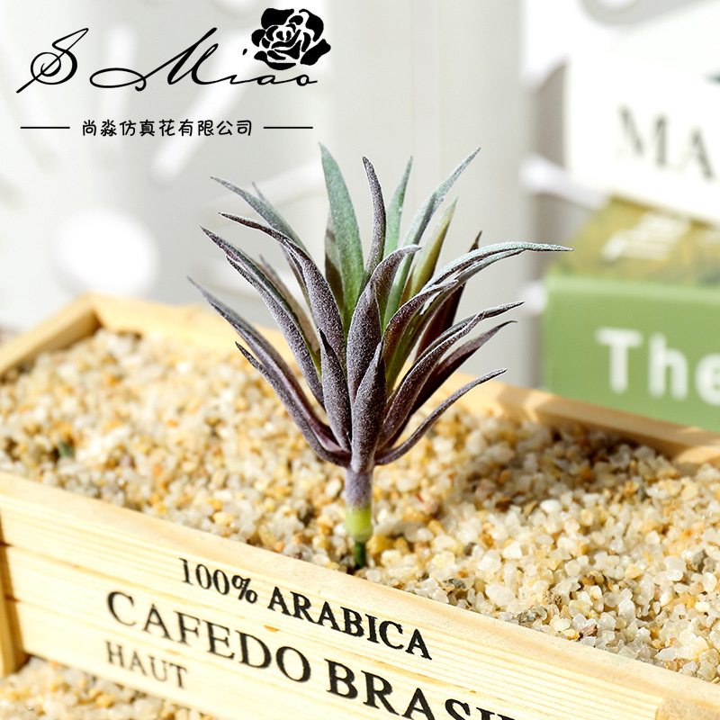 7.5x10cm 미니 링 지아오 차오 인조 다육식물 D - Succulent Arrangement Mini 리뷰 및 가격