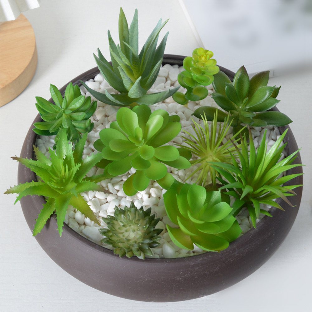 미니 분재 인조 다육식물 장식 세트, 가정 사무실 책상 - Succulent Arrangement Mini 리뷰 및 가격