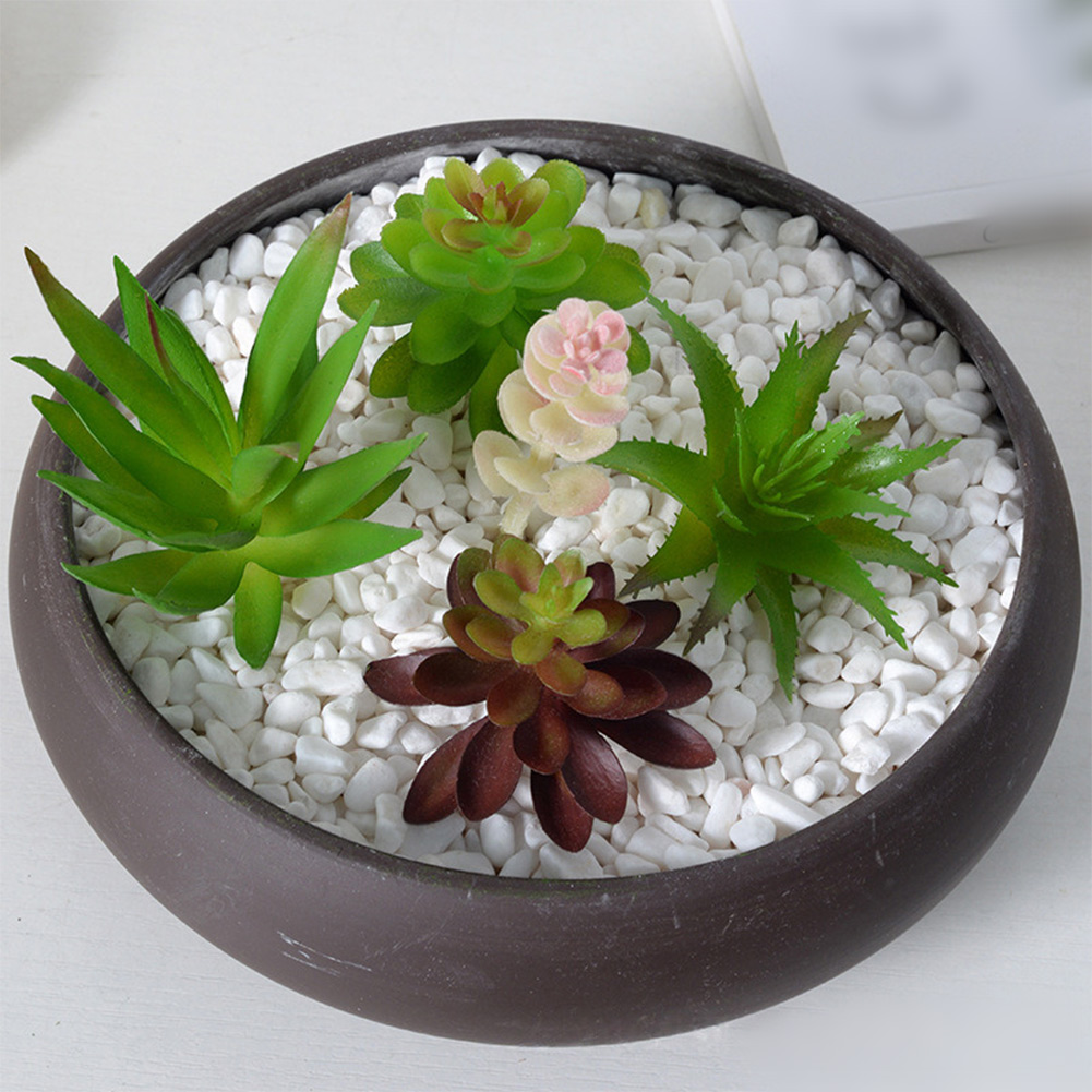 미니 분재 인조 다육식물 장식 세트, 가정 사무실 책상 - Succulent Arrangement Mini 리뷰 및 가격