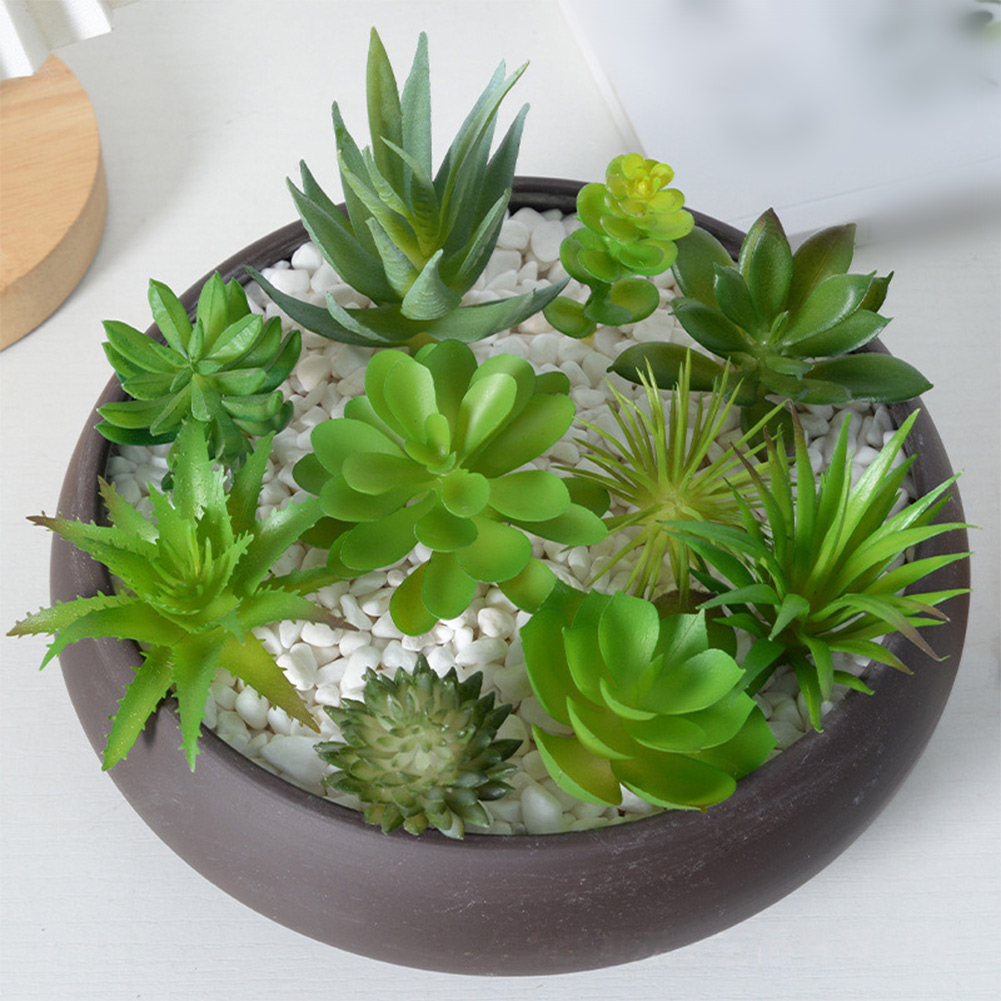 미니 분재 다육식물 장식용 화분, 가정 및 사무실 장식 - Succulent Arrangement Mini 리뷰 및 가격