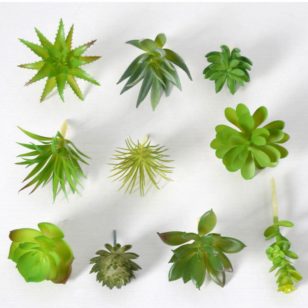 미니 분재 다육식물 장식용 화분, 가정 및 사무실 장식 - Succulent Arrangement Mini 리뷰 및 가격