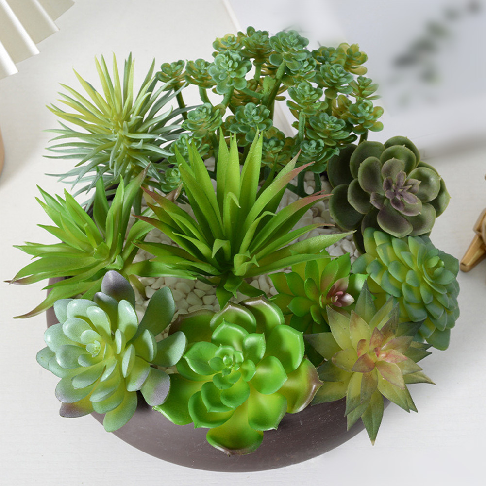 미니 분재 스타일 인조 다육식물 장식용 사진 소품, 스 - Succulent Arrangement Mini 리뷰 및 가격