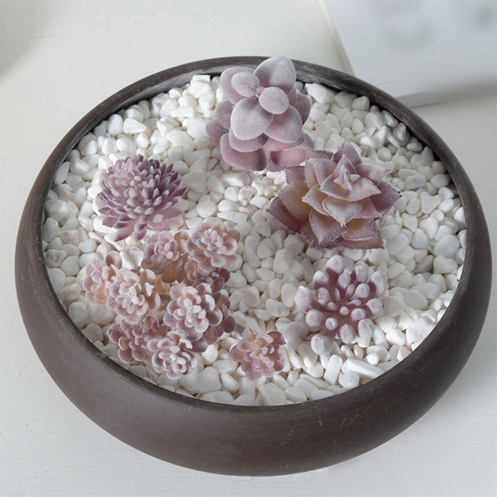 미니 분재 스타일 인조 다육식물 장식용 사진 소품, 스 - Succulent Arrangement Mini 리뷰 및 가격
