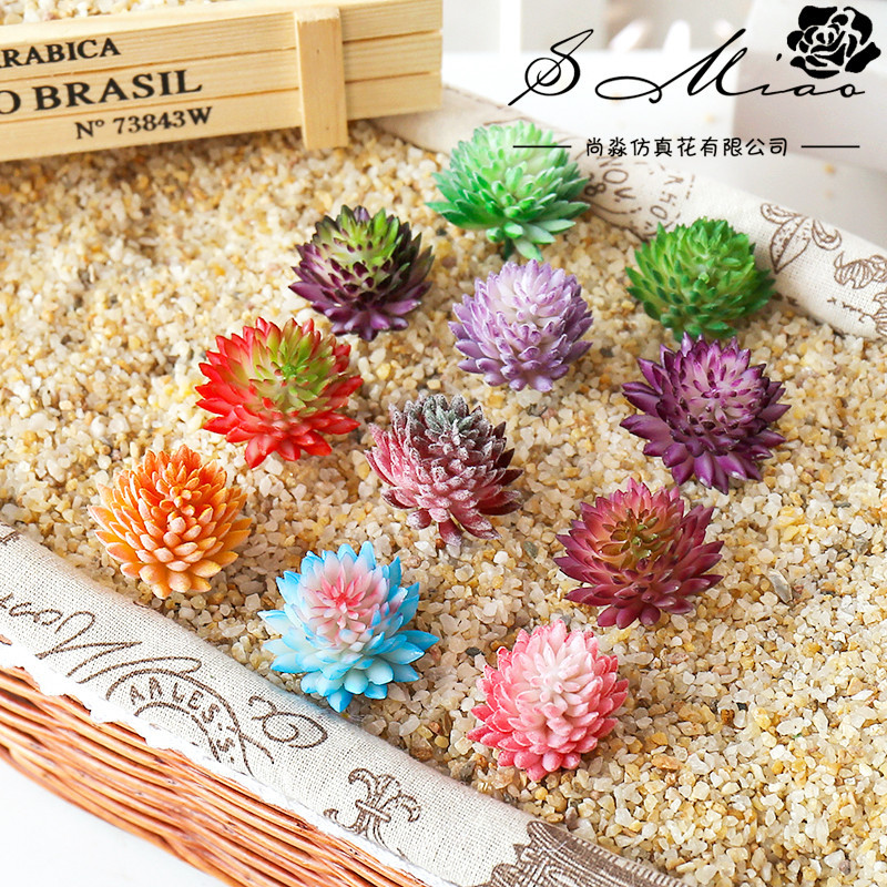 Wusmart Ji Wa Lian 인공 다육 식물, D - Succulent Arrangement Mini 리뷰 및 가격