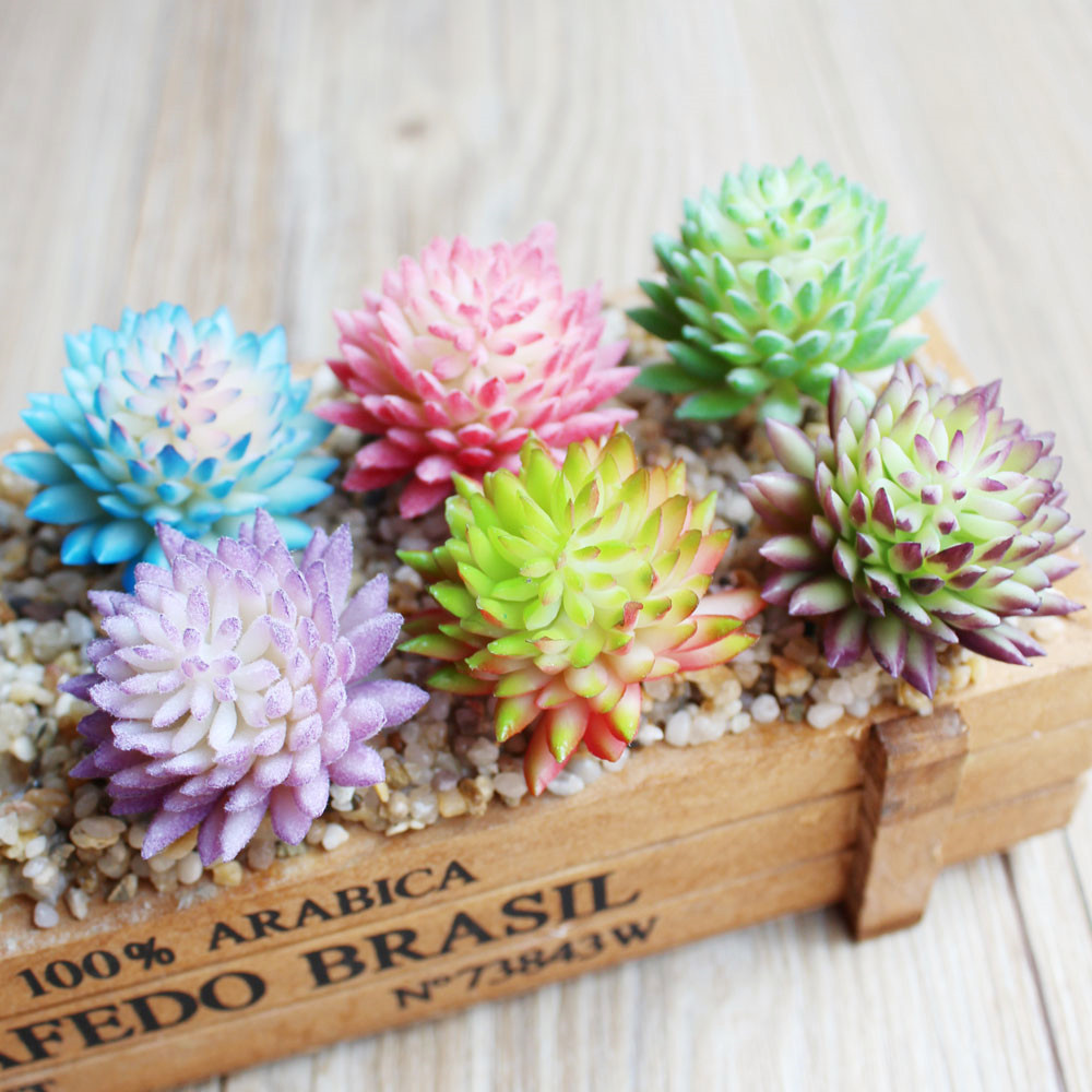 Wusmart Ji Wa Lian 인공 다육 식물, D - Succulent Arrangement Mini 리뷰 및 가격