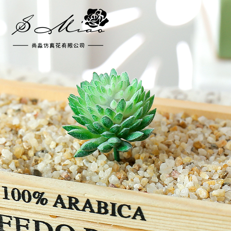 Wusmart Ji Wa Lian 인공 다육 식물, D - Succulent Arrangement Mini 리뷰 및 가격